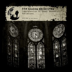 TTT-14 FFM Shadow Orchestra - Comprehension Of Sweet Sounds (Key Variation By Raum 107)