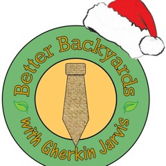 Better Backyards Christmas Lights Audio Tour 2013