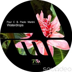 Paul C & Paolo Martini - Waterdrops (Original Mix)