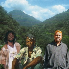 THE DETERMINATION D'NATIONS SEE ME THE PARK