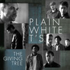 Plain White T S The Giving Tree Mp3