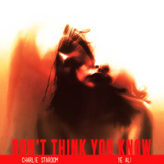 Don't Think You Know (Feat. YE Ali)