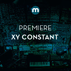 Premiere: XY Constant 'Hunny (Do Your Thing)'