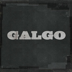 Bridge - GALGO
