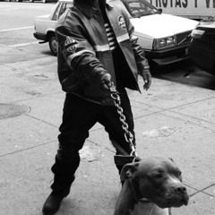 ESENCIA - DOSXL HNZ KASIUS - TEMBLEKESTUDIOS