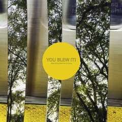 You Blew It!