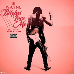 Lil Wayne - Bitches Love Me (Gonzak Remix)