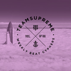 TS Vol. 86