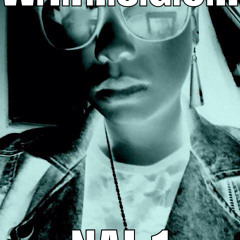 W.T.F.I.S.G.O.H. : NAI-1