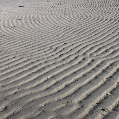 Windscape