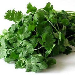 Cilantro and Coriander are the same thing!