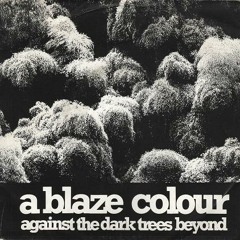 A Blaze Colour - Dark Trees Beyond