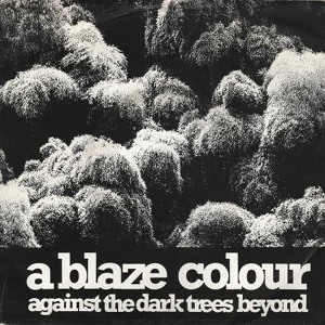 A Blaze Colour - Dark Trees Beyond