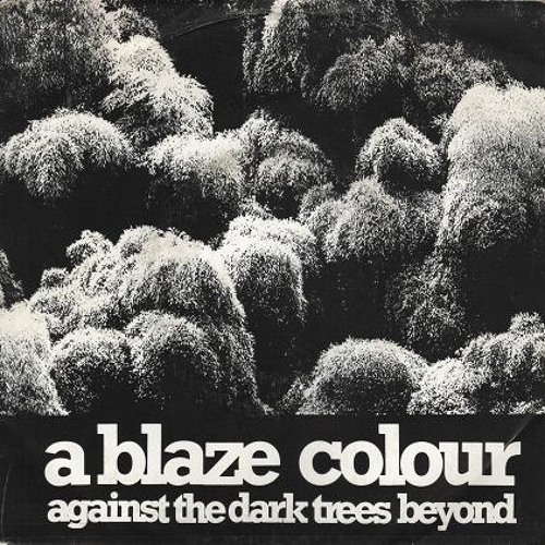 A Blaze Colour - Dark Trees Beyond