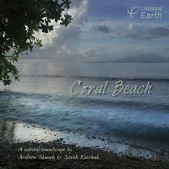 'Coral Beach' - Album Sample