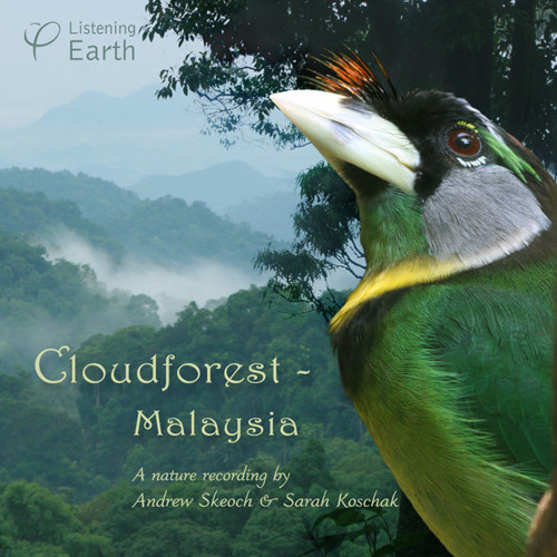 'Cloudforest - Malaysia' - Album sample