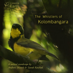 'The Whistlers of Kolombangara' - Album Sample