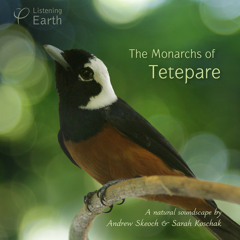 'The Monarchs of Tetepare' - Album Sample