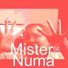 Ozone - Numa Numa (Mister56 Remix)