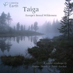 Taiga - Europe's Boreal Wilderness - Album Sample