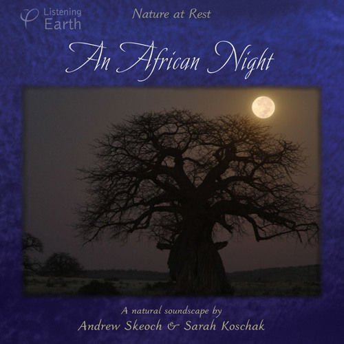 An African Night - Album Sample