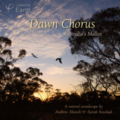 'Dawn Chorus: Australia's Inland' - album sample