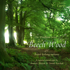 'Beech Wood' - album sample