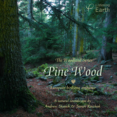 'Pine Wood' - album sample