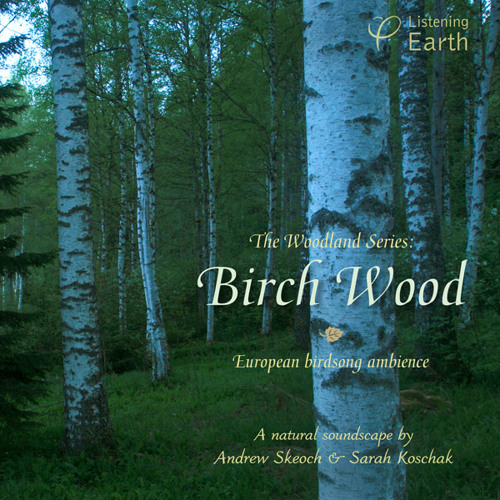 'Birch Wood' - album sample