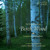 Artwork for 'Birch Wood' - album sample