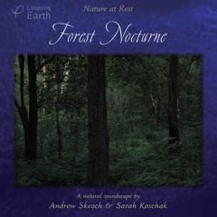 Forest Nocturne audio sample
