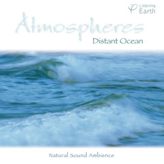 'Distant Ocean' audio sample
