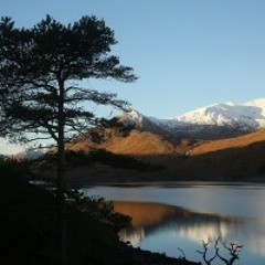 Cover - River (Joni Mitchell/Sarah McLachlan)1971