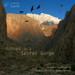 Echoes in a Secret Gorge: album sample