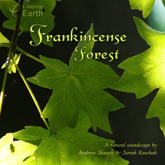 'Frankincense Forest': album sample
