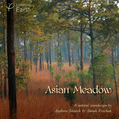 'Asian Meadow' - album sample