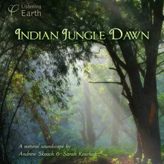 'Indian Jungle Dawn' - album sample