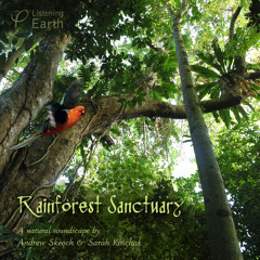 'Rainforest Sanctuary'- album sample