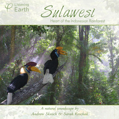 'Sulawesi - Heart of the Indonesian Rainforest'- album sample