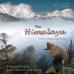 'The Himalaya'- album sample