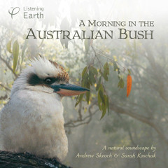 'A Morning in the Australian Bush'- album sample