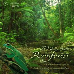 'A Walk in the Rainforest'- album sample
