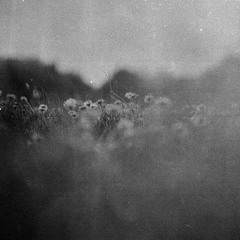 SourNYC Playlist :) <3.<3!!