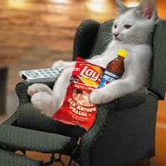 Lets get Stephanie back on the TV machine!!