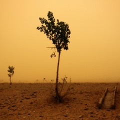 Into Dust (cover) Year 4, Assignment 2.