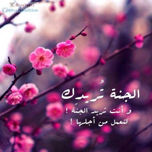 أذبح هوآكْ :)