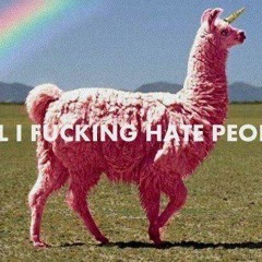 13/12 sommerlaunetoasten