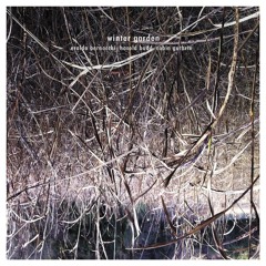 Eraldo Bernocchi, Harold Budd, Robin Guthrie - Harmony And The Play Of Light
