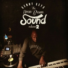 Dayum!!! - "NEON BROWN SOUND VOL 2." http://facemeltchicago.bandcamp.com/releases