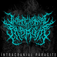 Festering Disgust [Demo 2013]